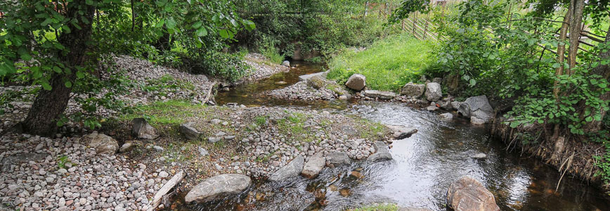 Vedenviljan siunaaminen Vihavuoden Koskella Vihavuoden koski